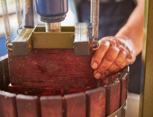 ¿Qué es y para qué sirve una prensa vertical de vino?