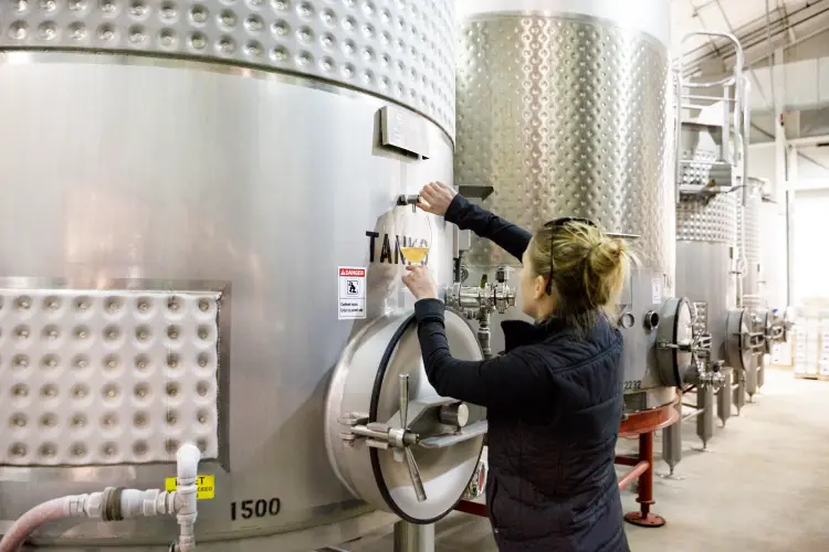Cómo es un depósito de fermentación de vino 4